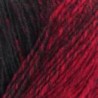 DMC Merino Essentiel 5 ombré - 150gr