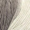 DMC Merino Essentiel 5 ombré - 150gr