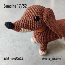 Livres: Happy Chenille