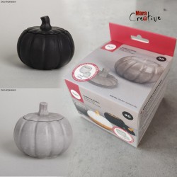 Moule en silicone:...