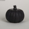Poudre de moulage Raysin noir