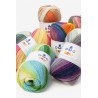 Pelote Brio et Bro XL multicolore DMC