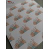 Bloc 60 feuilles Corail