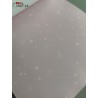 Bloc 60 feuilles Lovely Swan