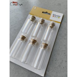 6 Fioles en verre