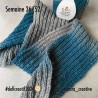 DMC Merino Essentiel 5 ombré - 150gr