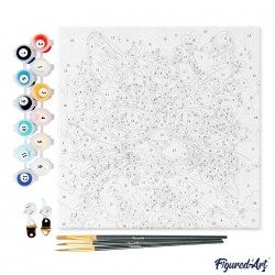 Peinture par numéros Figured'Art 20 x 20