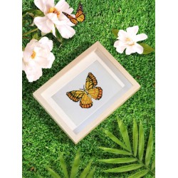 Mini série diamond painting Figured'Art