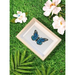 Mini série diamond painting Figured'Art