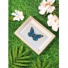 Mini série diamond painting Figured'Art