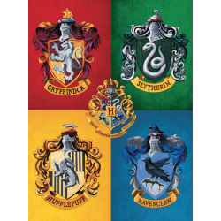 Collection Harry Potter DMC