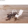 Kit: Mini-gardening - Relax