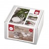 Kit: Mini-gardening - Dreams